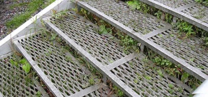 лествеца из ПВЛ