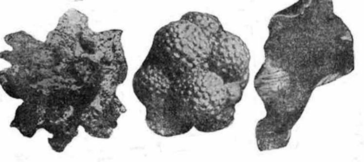 Ковкий чугун